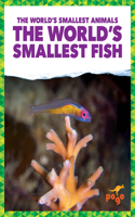 World's Smallest Fish