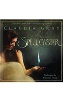 Spellcaster: (1 Spellcaster)