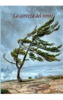 La carezza del vento