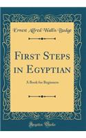 First Steps in Egyptian: A Book for Beginners (Classic Reprint)