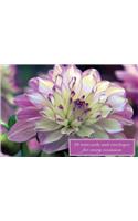 Card Box of 20 Notecards and Envelopes: Dahlia