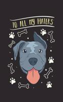 To All My Haters