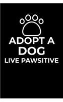 Adopt A Dog, Live Pawsitive