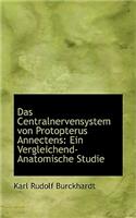 Das Centralnervensystem Von Protopterus Annectens: Ein Vergleichend-Anatomische Studie