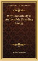 Why Immortality Is an Invisible Unending Energy