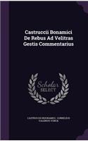 Castruccii Bonamici De Rebus Ad Velitras Gestis Commentarius