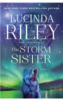 The Storm Sister, Volume 2: Ally's Story