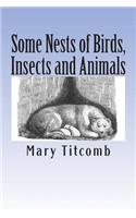 Some Nests of Birds, Insects and Animals: (English)