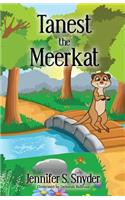 Tanest The Meerkat