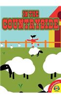 Countryside