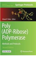 Poly(ADP-Ribose) Polymerase