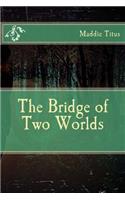 Bridge of Two Worlds