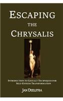 Escaping the Chrysalis: Transform Struggles Into Strengths