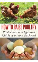 How to Raise Poultry