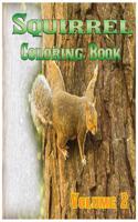 Squirrel Coloring Books Vol.2 for Relaxation Meditation Blessing: Sketches Coloring Book