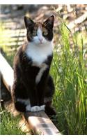 A Pretty Kitty Cat Sitting on the Railroad Tracks Pet Journal