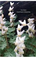 For Mom Dutchman's Breeches