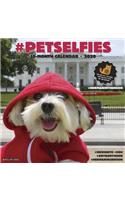 PETSELFIES 2020 WALL CALENDAR