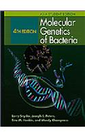 Molecular Genetics Of Bacteria