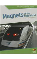 Magnets in the Real World