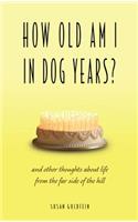 How Old Am I in Dog Years?