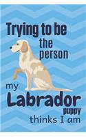 Trying to be the person my Labrador Puppy thinks I am