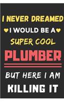 I Never Dreamed I Would Be A Super Cool Plumber But Here I Am Killing It