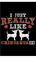 I Just Really Like Chihuahua Ok?