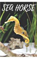 Sea Horse Notebook