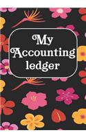 My Accounting Ledger