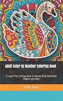 Adult Color by Number Coloring Book
