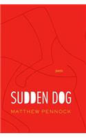 Sudden Dog