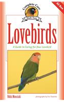 Lovebirds: A Guide to Caring for Your Lovebird