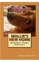 Mollie's New Home