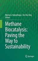 Methane Biocatalysis: Paving the Way to Sustainability
