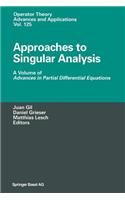 Approaches to Singular Analysis