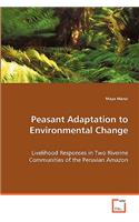 Peasant Adaptation to Environmental Change
