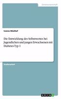 Die Entwicklung des Selbstwertes bei Jugendlichen und jungen Erwachsenen mit Diabetes Typ 1