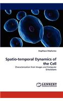 Spatio-Temporal Dynamics of the Cell