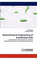Biomechanical Engineering of Endothelial Cells