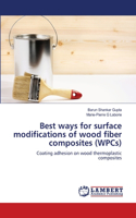 Best ways for surface modifications of wood fiber composites (WPCs)