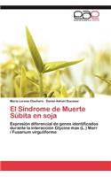 Sindrome de Muerte Subita En Soja