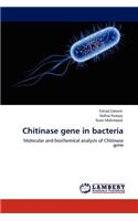 Chitinase gene in bacteria
