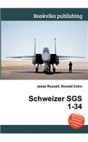 Schweizer Sgs 1-34