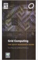 Grid Computing: The Savvy Managers Guide