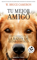 La razón de estar contigo / A Dog's Purpose