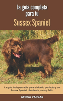 La Guía Completa Para Tu Sussex Spaniel
