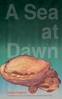 Sea at Dawn