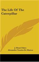The Life Of The Caterpillar