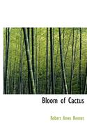 Bloom of Cactus